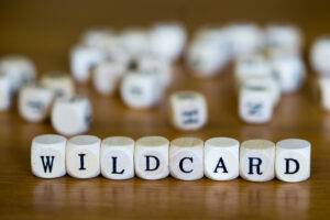 Georgia Wildcard Exemption